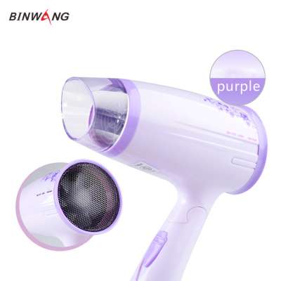 1000 Watt Worldwide Travel Hair Dryer with Smart Voltage Technology and Folding Handle